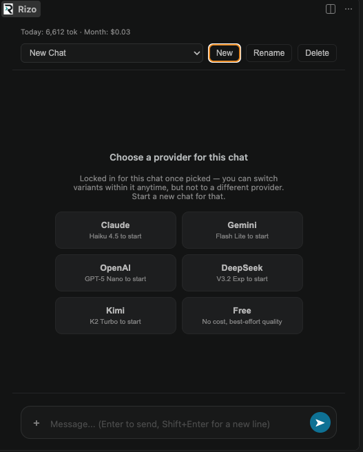 Rizo VS Code extension: choose a provider for a new chat